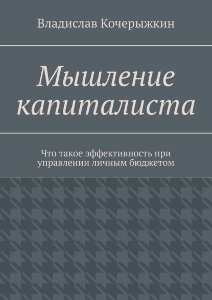 Мышление капиталиста. Что такое эффективность при управлении личным бюджетом — Владислав Кочерыжкин