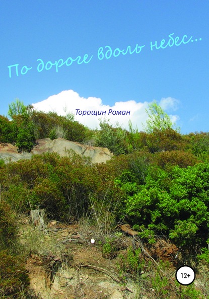 По дороге вдоль небес — Роман Владимирович Торощин