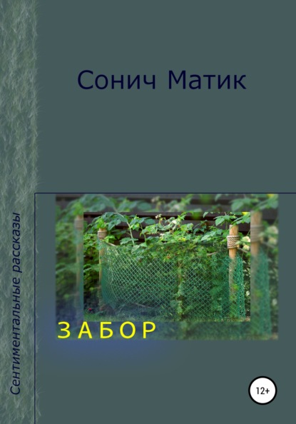 Забор — Сонич Матик