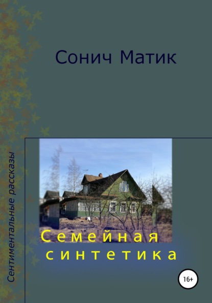 Семейная синтетика — Сонич Матик