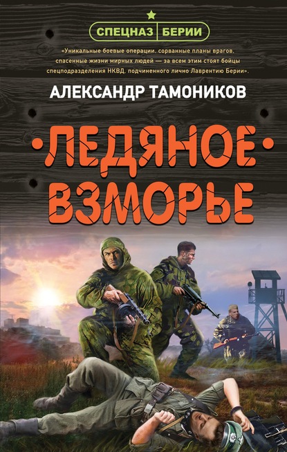 Ледяное взморье — Александр Тамоников