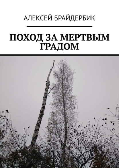 ПОХОД ЗА МЕРТВЫМ ГРАДОМ — Алексей Брайдербик