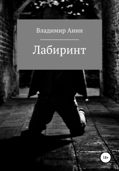 Лабиринт - Владимир Анин