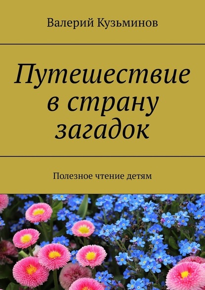 Путешествие в страну загадок. Полезное чтение детям - Валерий Кузьминов