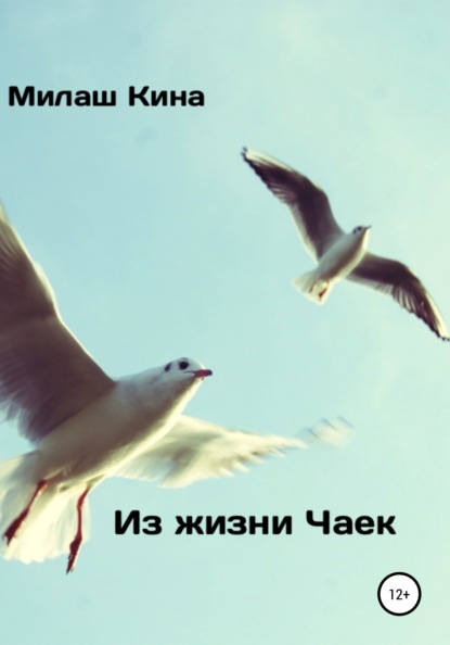 Из жизни чаек — Милаш Кина