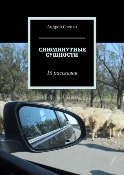 Сиюминутные сущности. 15 рассказов — Андрей Саенко