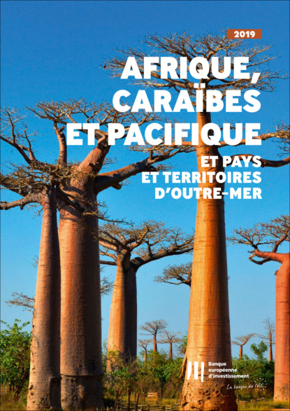 Activit? de la BEI en Afrique, Cara?bes et Pacifique et pays et territoires d'outre-mer - Группа авторов