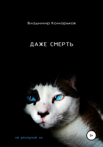 Даже смерть не разлучит их - Владимир Валерьевич Комарьков