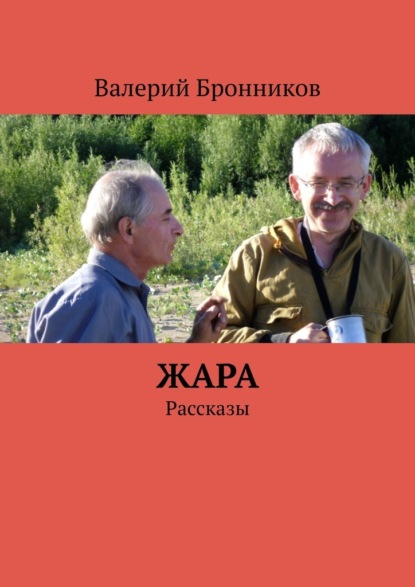 Жара. Рассказы - Валерий Бронников