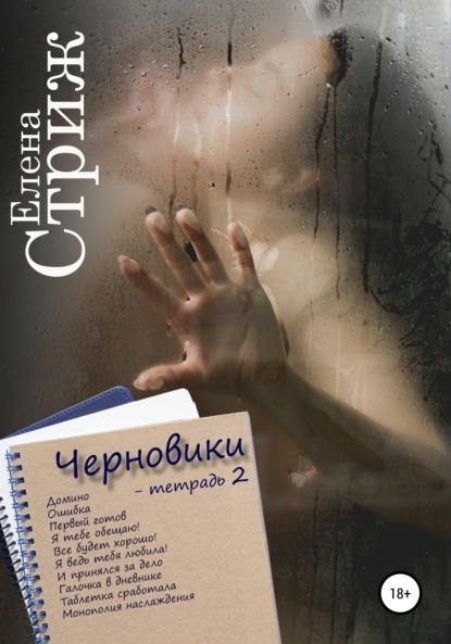 Черновики. Тетрадь 2 — Елена Стриж