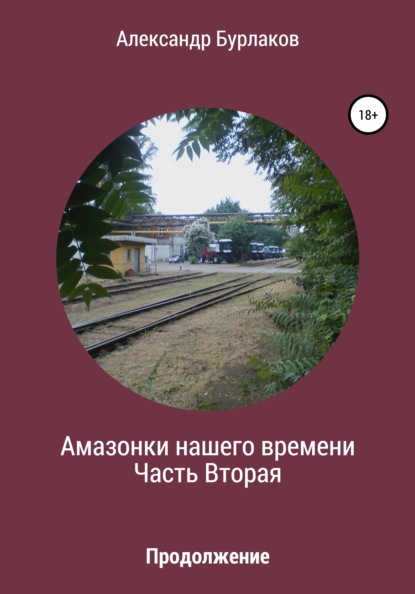 Амазонки нашего времени. Часть Вторая - Александр Бурлаков