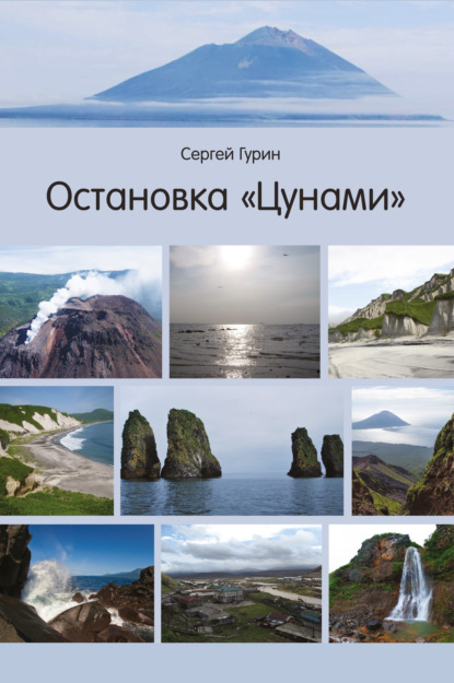 Остановка «Цунами» — Сергей Гурин