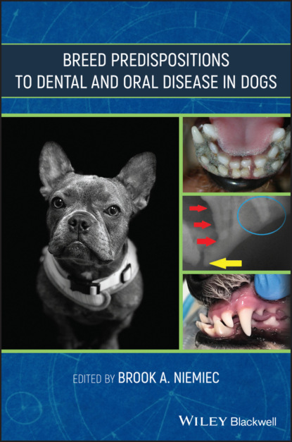 Breed Predispositions to Dental and Oral Disease in Dogs - Группа авторов