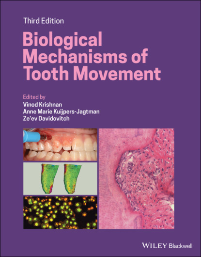 Biological Mechanisms of Tooth Movement - Группа авторов