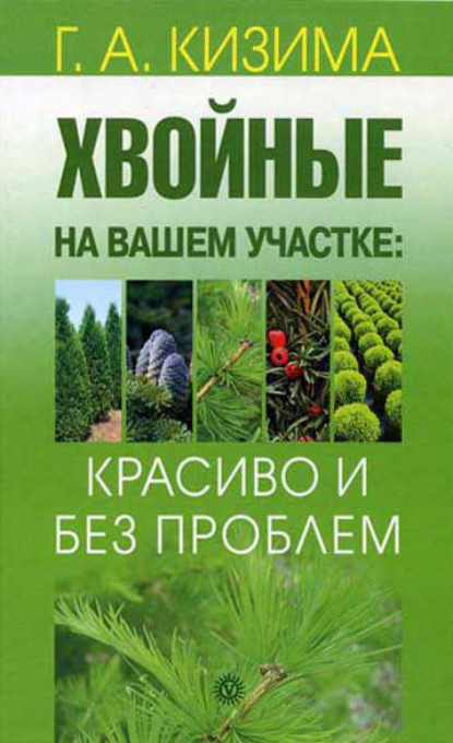 Хвойные на вашем участке: красиво и без проблем - Галина Кизима