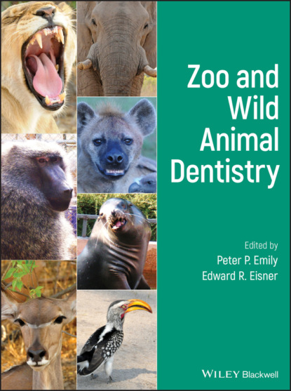 Zoo and Wild Animal Dentistry - Группа авторов