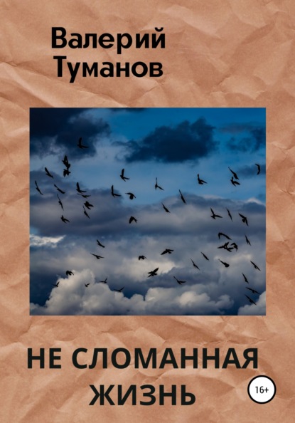 Не сломанная жизнь - Валерий Петрович Туманов