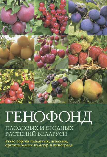 Генофонд плодовых и ягодных растений Беларуси: атлас сортов плодовых, ягодных, орехоплодных культур и винограда — Коллектив авторов