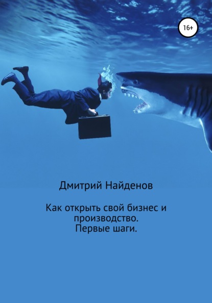 Как открыть свой бизнес и производство. Первые шаги - Дмитрий Александрович Найденов