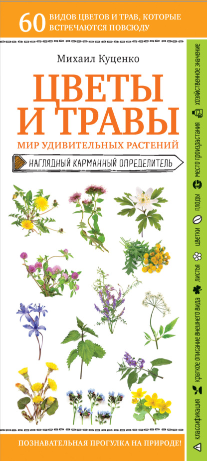 Цветы и травы. Мир удивительных растений - Михаил Куценко