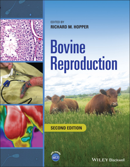 Bovine Reproduction - Группа авторов