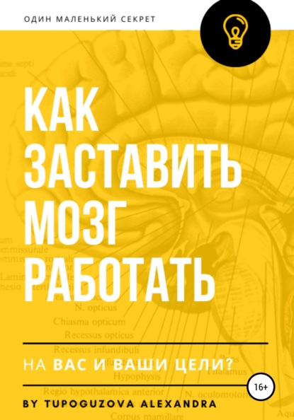 Как заставить мозг работать на вас и ваши цели - Александра Тупогузова