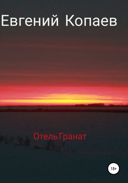 Отель Гранат - Евгений Петрович Копаев