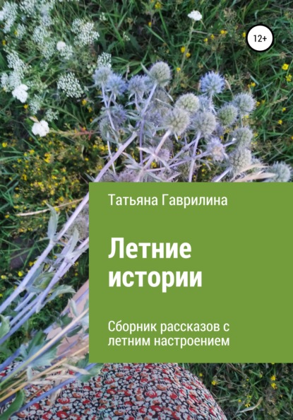 Летние истории. Сборник рассказов с летним настроением — Татьяна Гаврилина