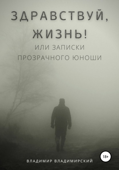 Здравствуй, жизнь! или Записки прозрачного юноши - Владимир Владимирский