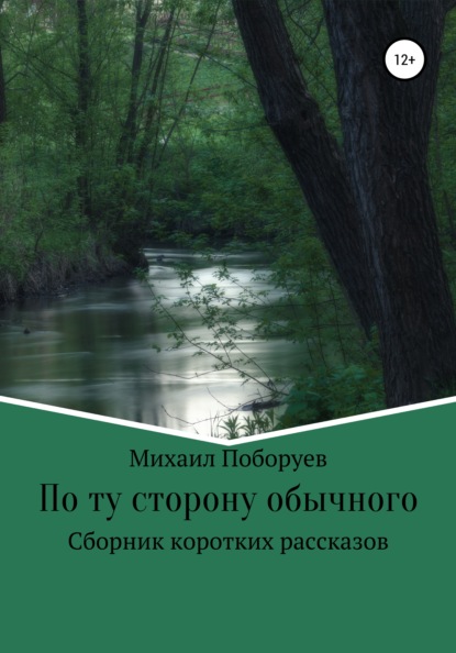 По ту сторону обычного — Михаил Владимирович Поборуев