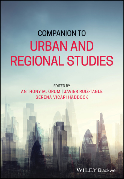 Companion to Urban and Regional Studies - Группа авторов