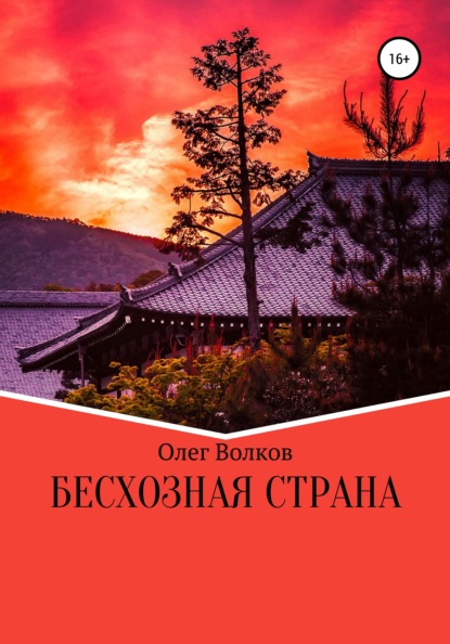 Бесхозная страна — Олег Волков