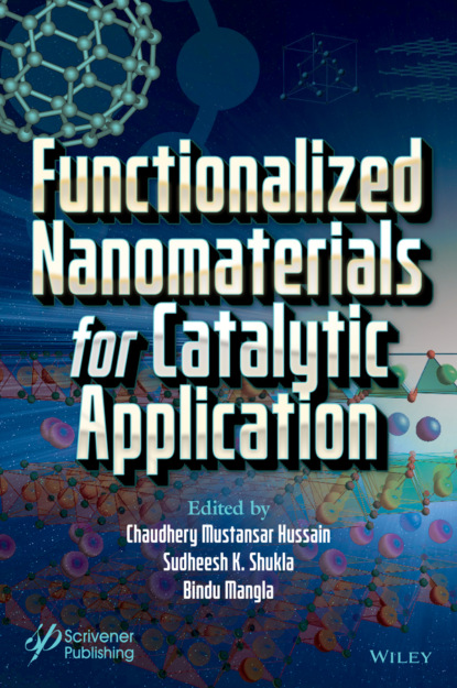 Functionalized Nanomaterials for Catalytic Application - Группа авторов