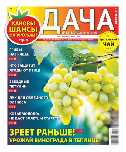 Дача Pressa.ru 12-2021 - Редакция газеты Дача Pressa.ru