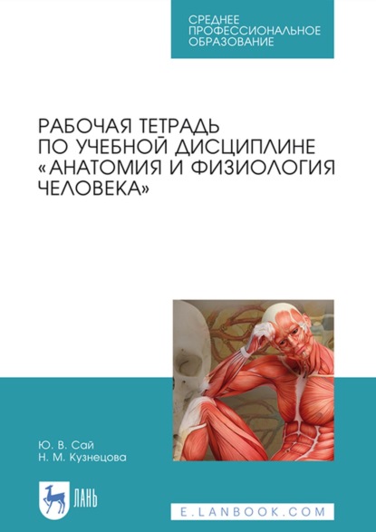 Рабочая тетрадь по учебной дисциплине «Анатомия и физиология человека». Учебное пособие для СПО - Н. М. Кузнецова