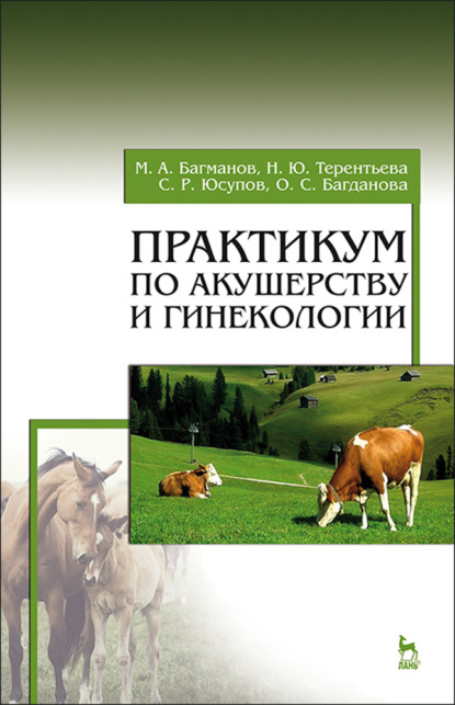 Практикум по акушерству и гинекологии - М. А. Багманов