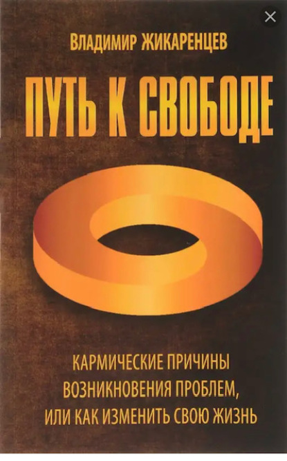 Путь к свободе. Кармические причины возникновения проблем, или Как изменить свою жизнь — Владимир Жикаренцев