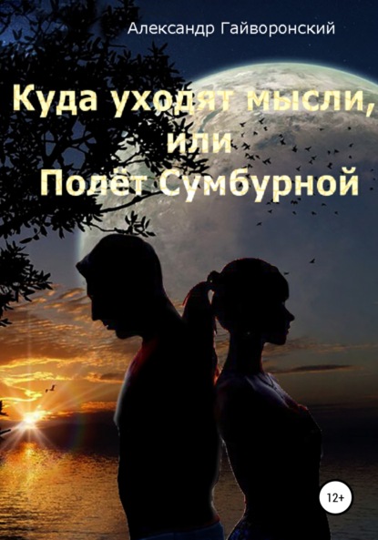 Куда уходят мысли, или Полет Сумбурной — Александр Борисович Гайворонский