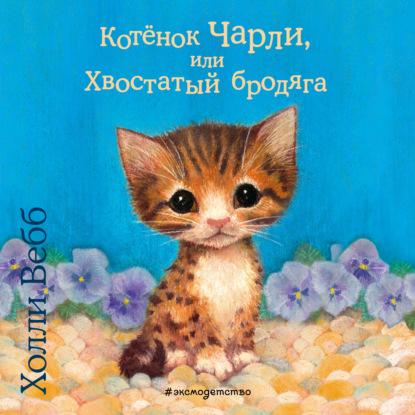 Котёнок Чарли, или Хвостатый бродяга - Холли Вебб