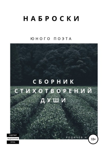 Наброски юного поэта, или Сборник стихотворений души — Никита Эдуардович Родичев