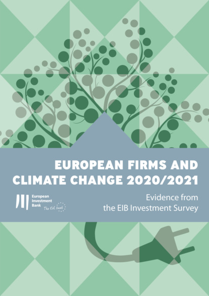 European firms and climate change 2020/2021 - Группа авторов