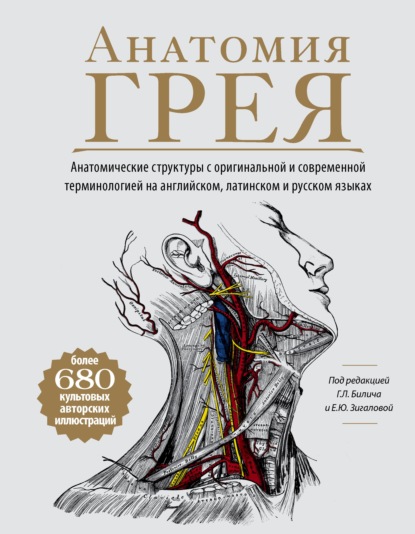 Анатомия Грея. Анатомические структуры с оригинальной и современной терминологией на английском, латинском и русском языках - Группа авторов