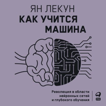 Как учится машина. Революция в области нейронных сетей и глубокого обучения — Ян Лекун