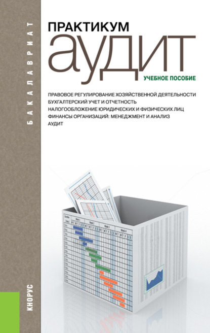 Аудит. Практикум. (Бакалавриат). Учебное пособие - Галина Александровна Юдина