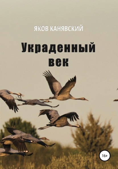 Украденный век - Яков Канявский