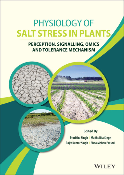 Physiology of Salt Stress in Plants — Группа авторов