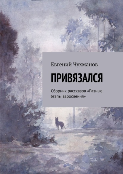 Привязался. Сборник рассказов «Разные этапы взросления» — Евгений Чухманов