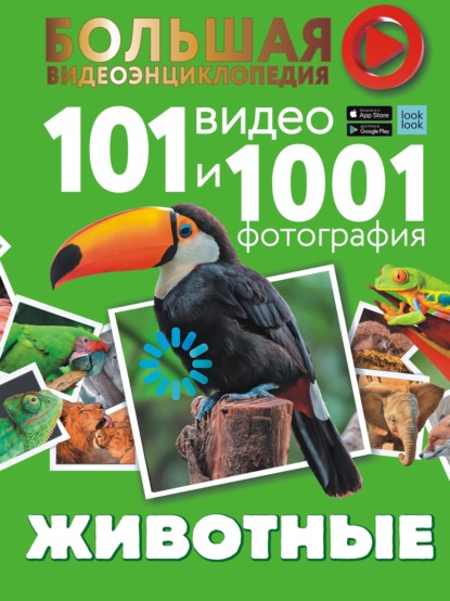 Животные. 101 видео и 1001 фотография - Е. О. Хомич