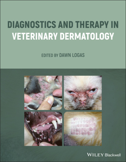 Diagnostics and Therapy in Veterinary Dermatology - Группа авторов