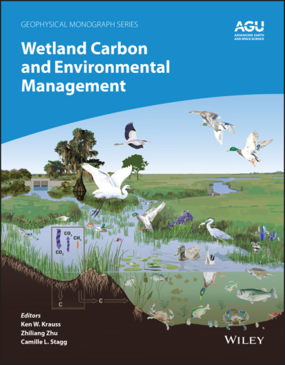 Wetland Carbon and Environmental Management - Группа авторов